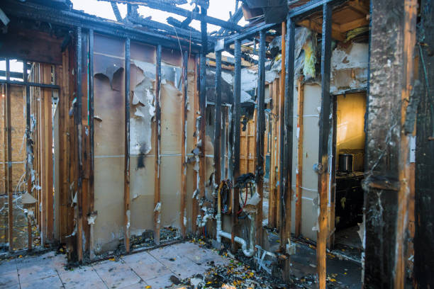 Professional Soot Cleanup technician working in Alvin, TX